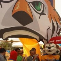 Mundo Tigre: Ofreciendo nuevas experiencias